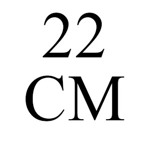 22cm